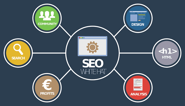 What is Enterprise Search Engine Optimization Firm?